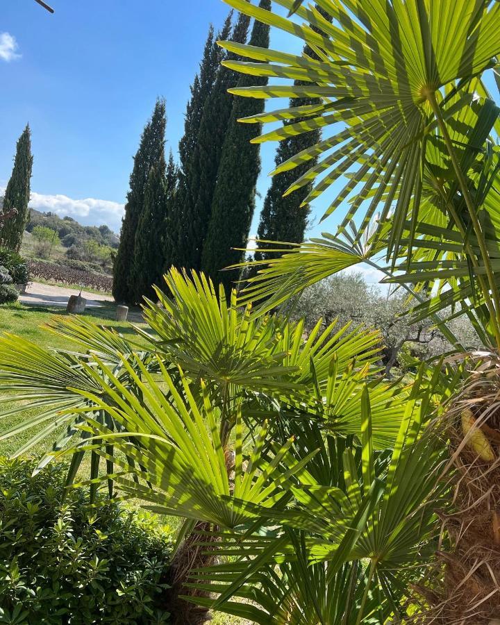 Hotel Domaine La Condamine Crillon Le Brave Zewnętrze zdjęcie